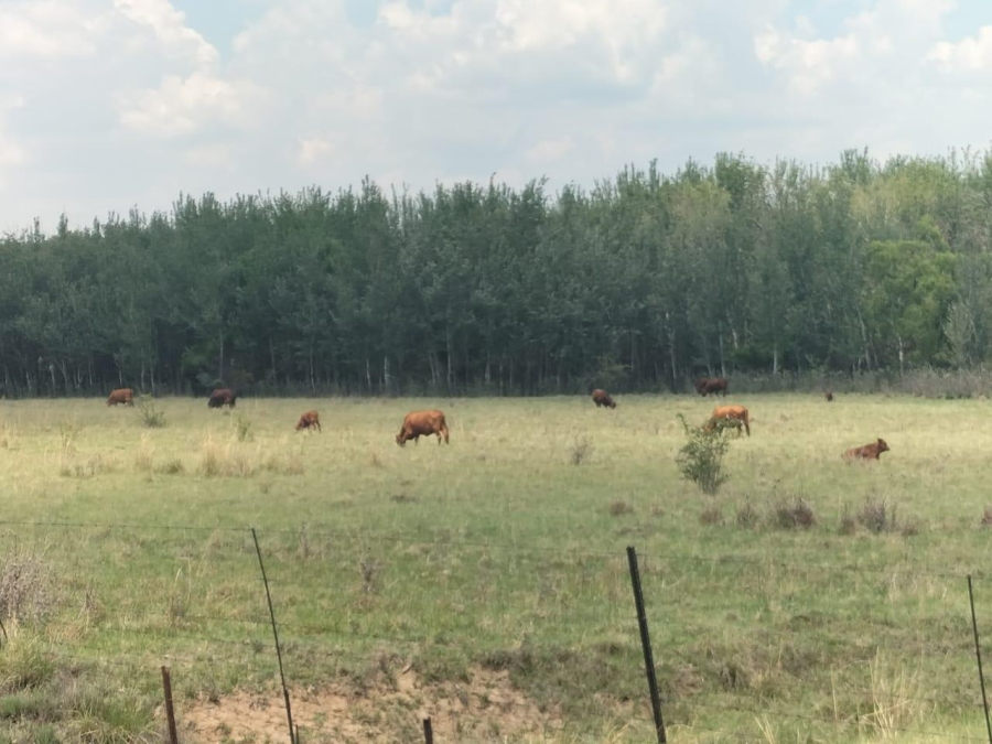 0 Bedroom Property for Sale in Bethlehem Rural Free State